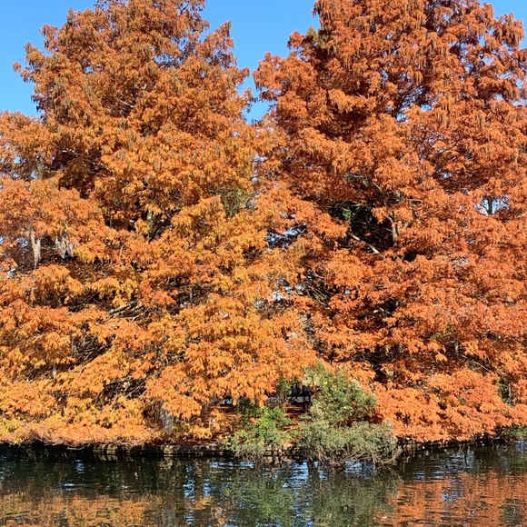 Meet your Posher, Serenity - Picture 1 of 1